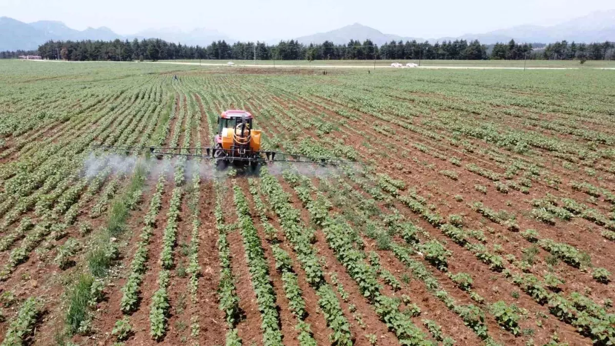 elita gida surdurulebilir tarimda basari elde etti blPLTMZr