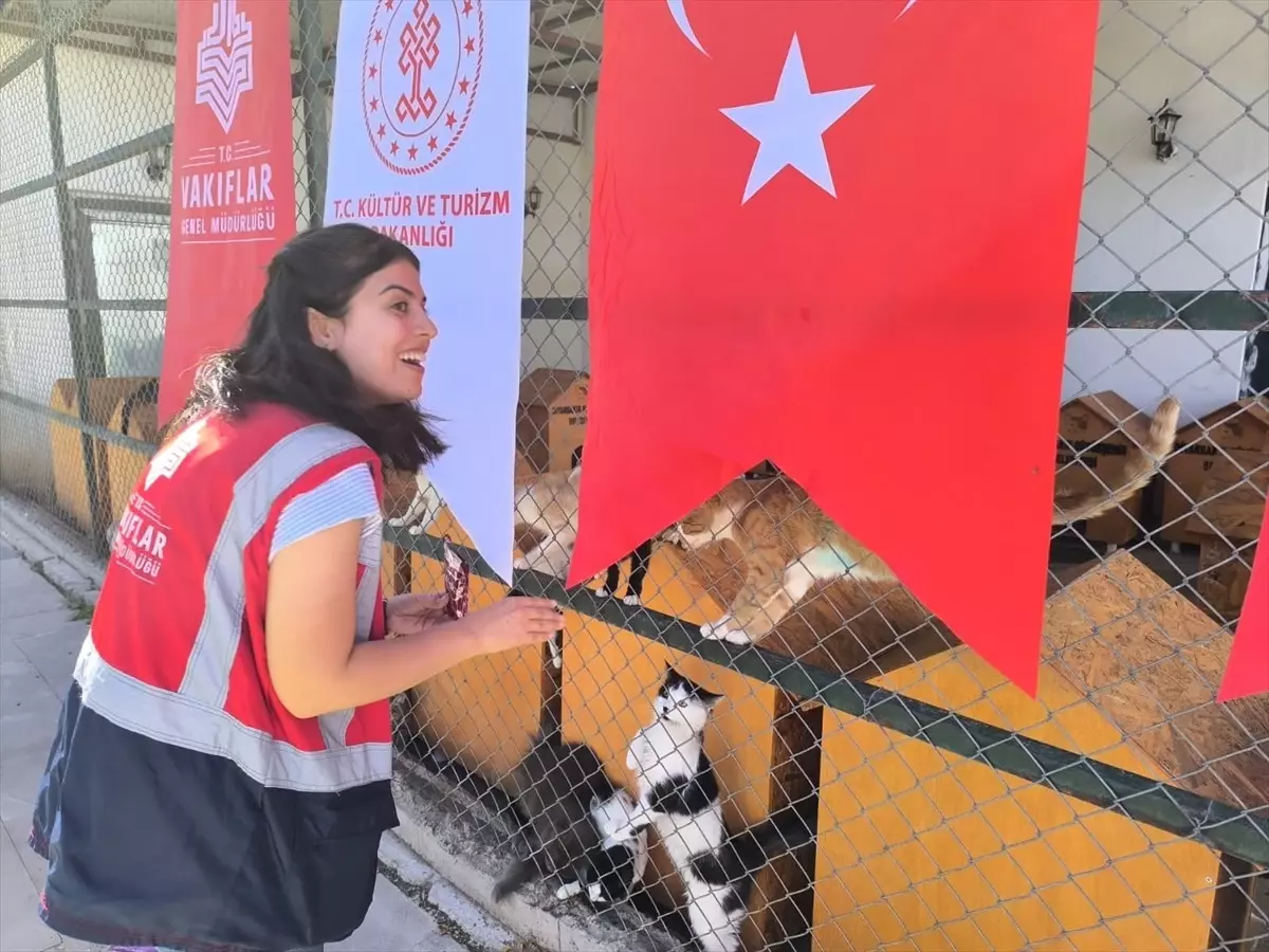 diyarbakirda hayvanlara destek 4YbRWtjX