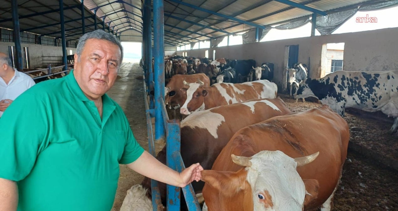 gurer et fiyatlarina isyan etti uretici degil ithalat kazaniyor wUXqhfkC.jpg