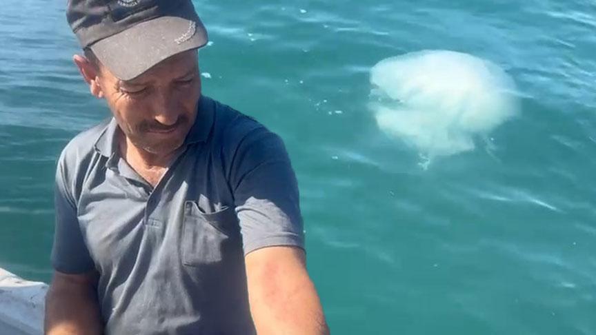 korkutan uyari geldi zehirli kesinlikle temas etmeyin nY4tBg7g.jpg