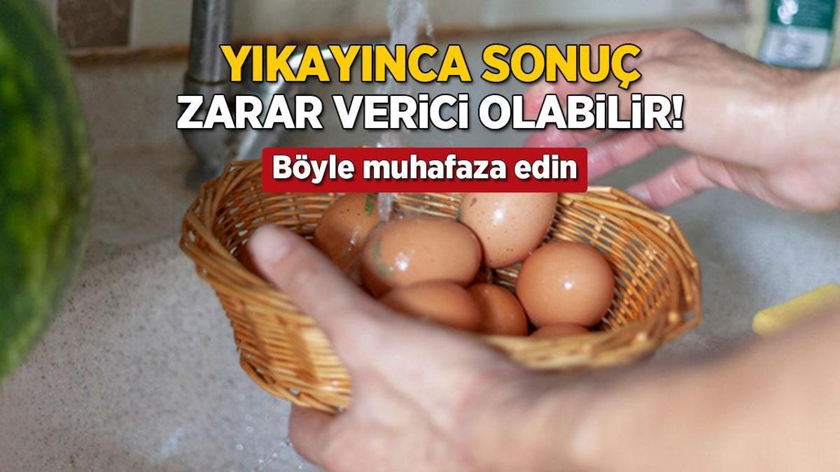 yikayinca sonuc salmonella bakterisi yumurtayi boyle muhafaza etmek sart 87AnMU1z.jpg