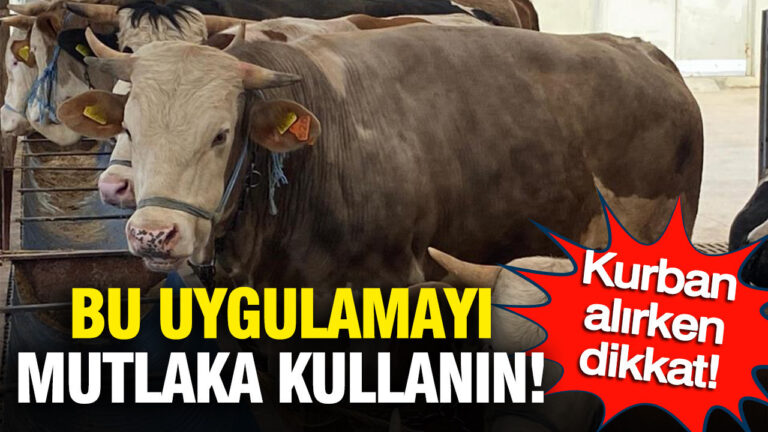 kurbanlik-alirken-dikkat-bu-uygulamayi-mutlaka-kullanin-e4Y1dxxl