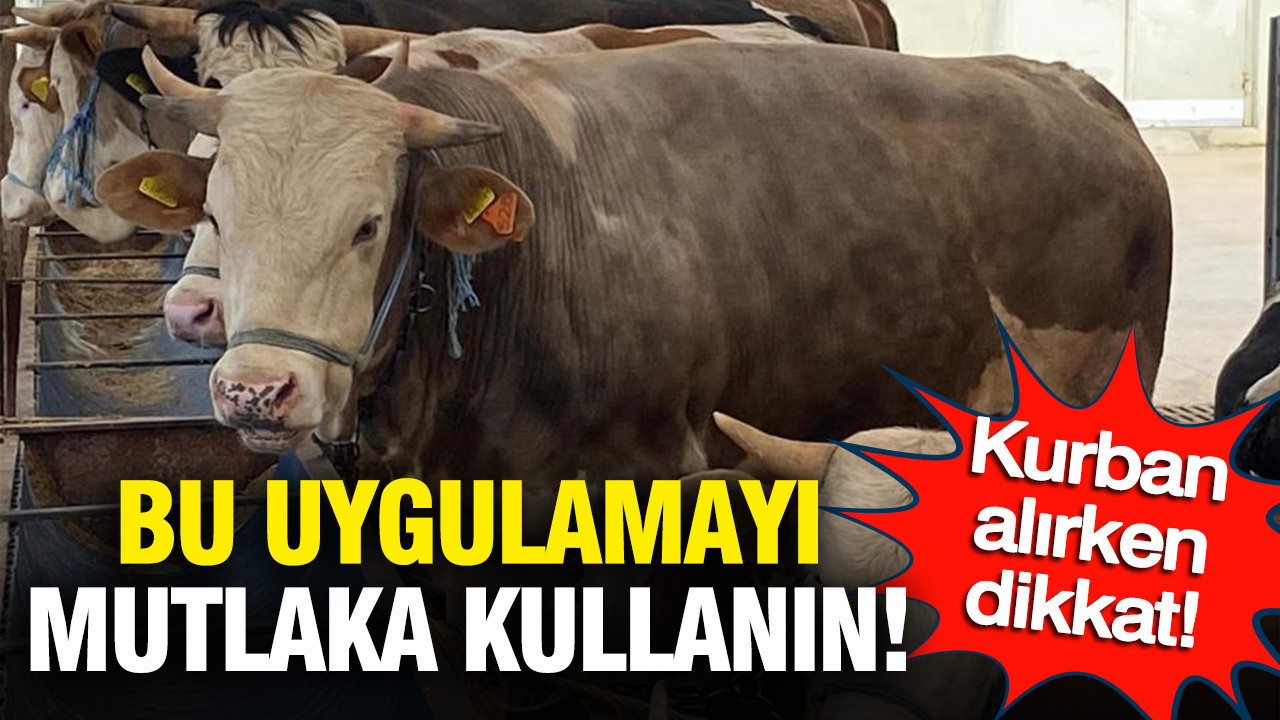 kurbanlik-alirken-dikkat-bu-uygulamayi-mutlaka-kullanin-e4Y1dxxl